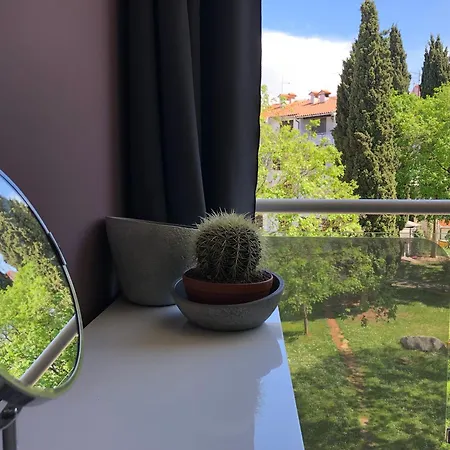 Modern Cervar - Porat